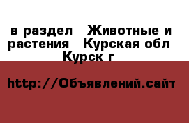  в раздел : Животные и растения . Курская обл.,Курск г.